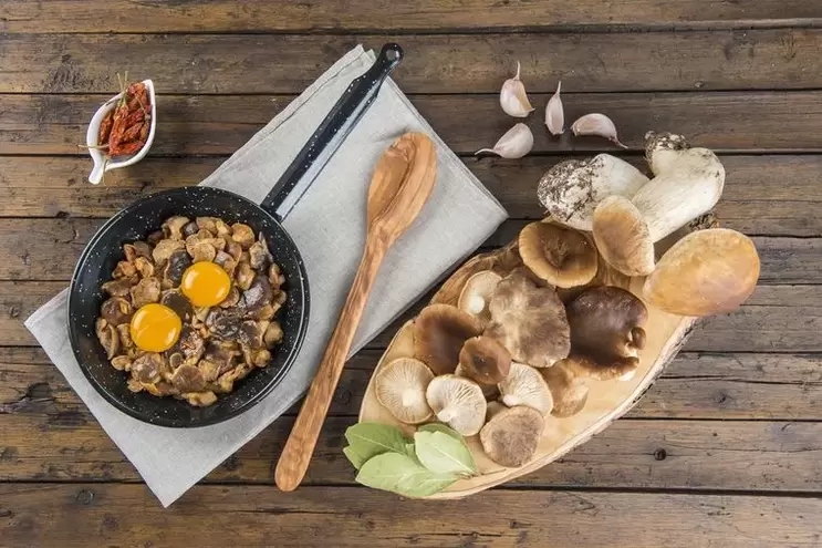 Egg mushrooms for a carbohydrate-free diet