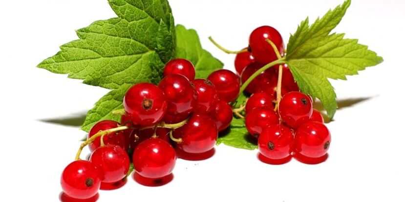 Red currants are on the list of prohibited foods for hypoallergenic diets. 